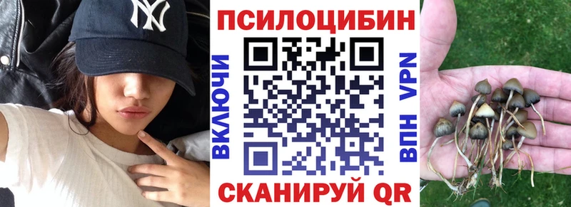 Галлюциногенные грибы GOLDEN TEACHER  площадка наркотические препараты  Тутаев  наркошоп 