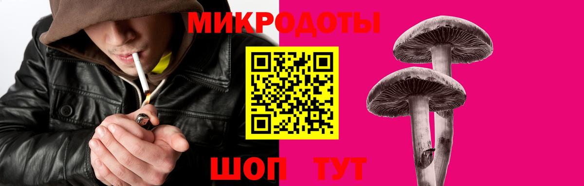 Галлюциногенные грибы Psilocybe  Вход с VPN  Тутаев 