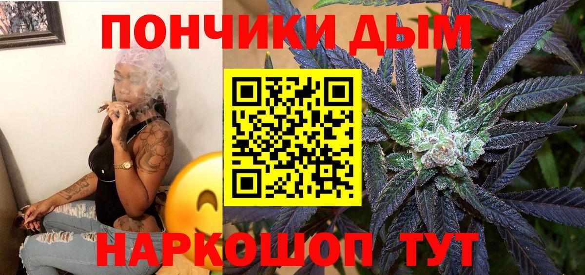 Тутаев  Каннабис индика  Каннабис план  Вход с VPN 
